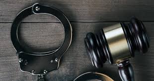 Intelligence & Human Behaviour in Crime Prevention